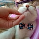 thumbnail image 5 of Lindo collar de pajarita para gato con cascabel, ajustable, con cierre de seguridad, accesorios de aseo para mascotas, suministros para gatos esfinge de pelo corto, 5 of 5