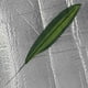 thumbnail image 4 of 5 piezas de follaje de hojas artificiales grandes, hojas de Monstera falsas, decoración para hogar Verde, 4 of 9