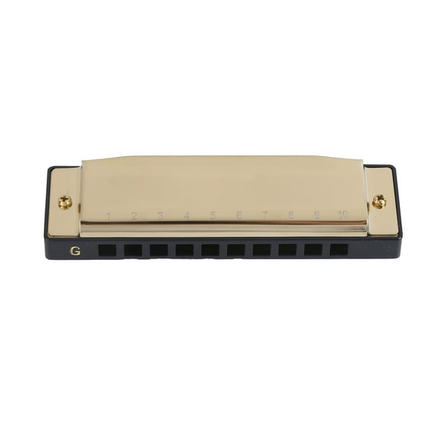 Mouth Organ,Harmonica 10 Hole 20 G Key Harmonica Hole Harmonica Exquisite Design