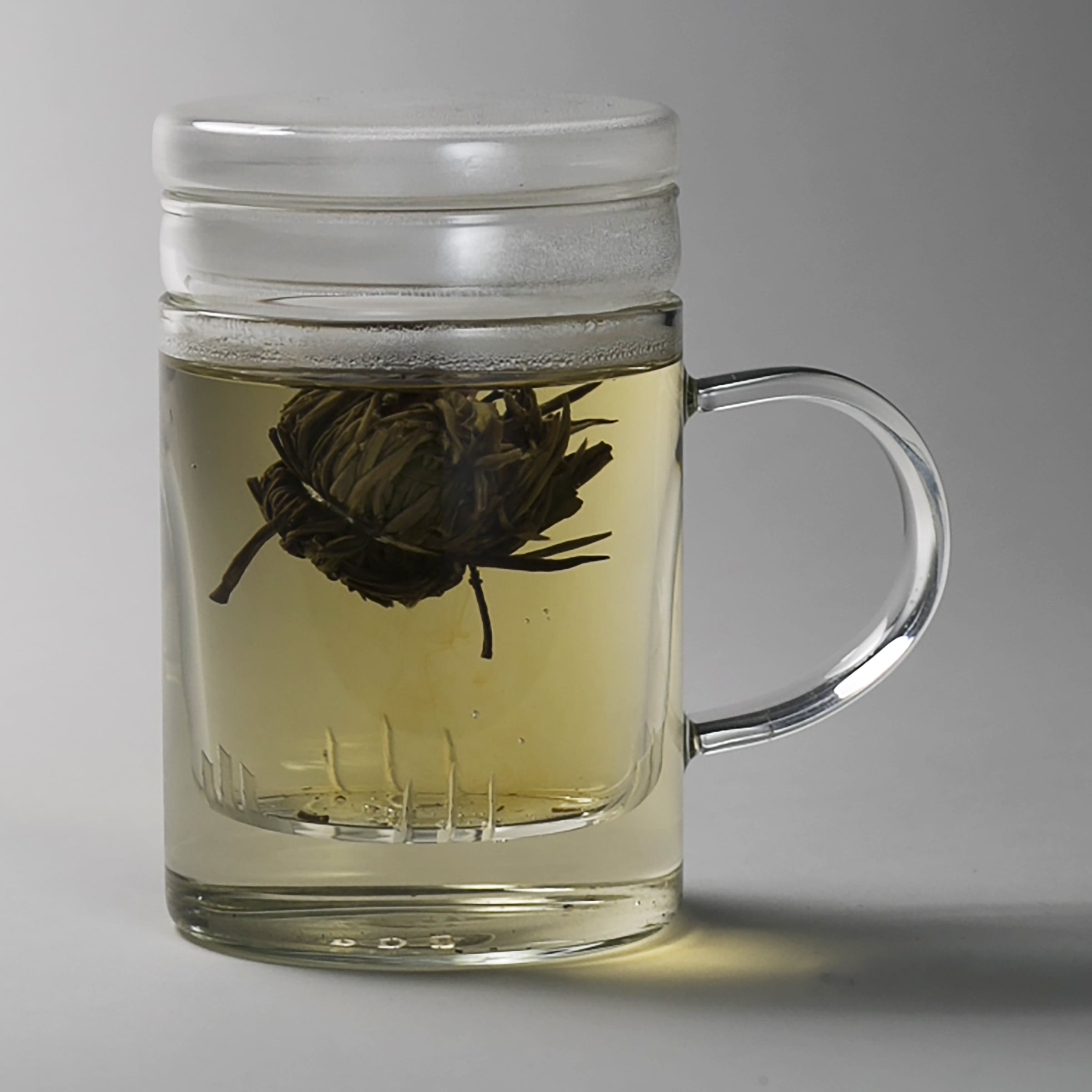 Primula 16 oz. Temperature Safe Glass Double Wall Mug with Tea Bag