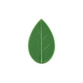 thumbnail image 1 of Hongchun 120pcs Plant Climbing Wall Fixing Clips, 1 of 4