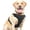 Black, variant on Tiberpet Dog Chest Harness for Medium Sized Dogs Vest Adjustable Easy Puppy Harness Anti-Lost Leash Undershirt