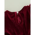 thumbnail image 6 of Bagilaanoe Newborn Baby Girl Velvet Dress Long Sleeve A-line Princess Dresses 3M 6M 9M 12M 18M 24M Infant Ruffle Lace Parchwork Pleated Dress, 6 of 8