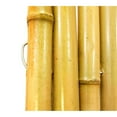 thumbnail image 3 of Backyard X-Scapes Natural Bamboo Fencing Garden Screen Rolled Fence Panel  3/4"D x 3'H x 8'L, 3 of 9