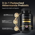 thumbnail image 5 of Akkermansia Probiotic, GLP-1 Supplement for Gut Health & Digestion, DigeSEB Digestive Enzymes & Vitamin B Complex - 30 Billion TFU, Third-Party Tested, 30 Capsules - 1 Month Supply for Men & Women, 5 of 7