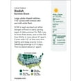 thumbnail image 2 of Burpee Organic German Giant Radish Vegetable Seed,  Annual Lifecycle, Full Sun, 2 of 6