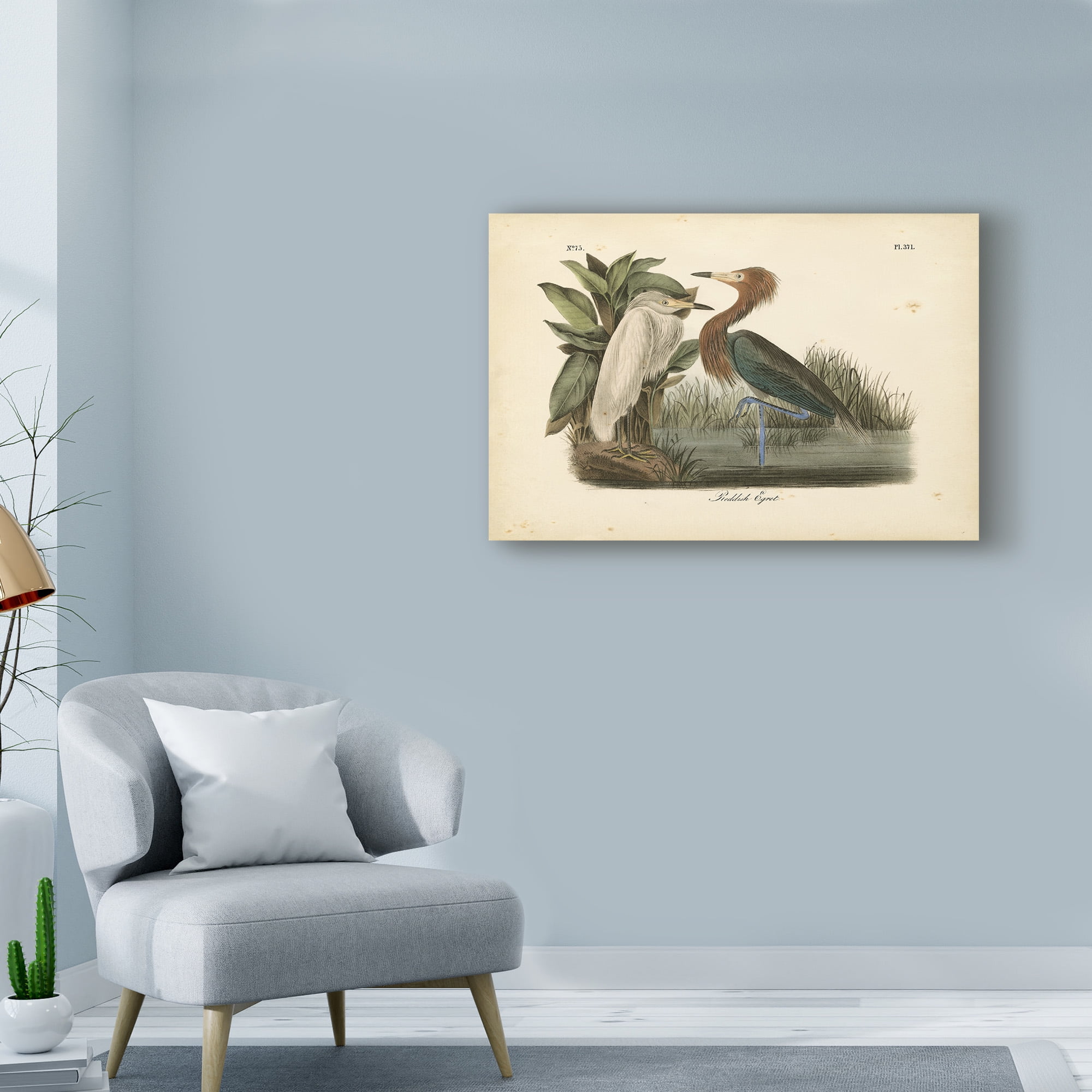 Trademark Fine Art 'Audubons Reddish Egret' Canvas Art by John James Audubon