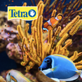 thumbnail image 2 of Alimento para peces TretaMin tropical flakes 28 g, 2 of 2