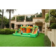 Doctor Dolphin Water Slide Inflatable Bounce House Kid Toddler Bouncer with Blower Large Water Park Waterslide for Wet and Dry