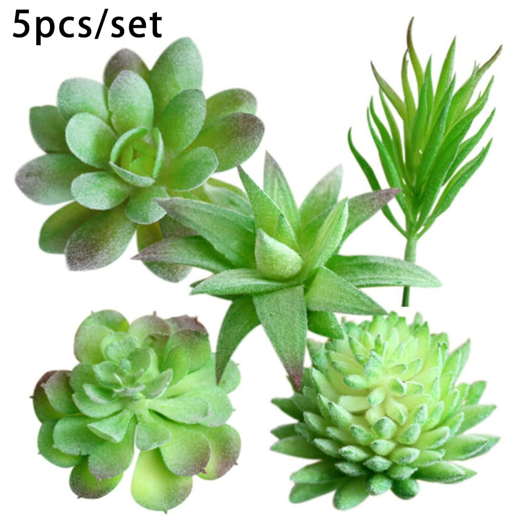 5pcs Artificial Succulents Plant Fake Cactus Floral Garden Home Office Decor
