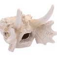 thumbnail image 4 of Ruiboury Interesting Aquarium Decor Clear Patterns For Fish Farming Enthusiasts Vivid And Interesting Unique Dragon Skull, 4 of 6