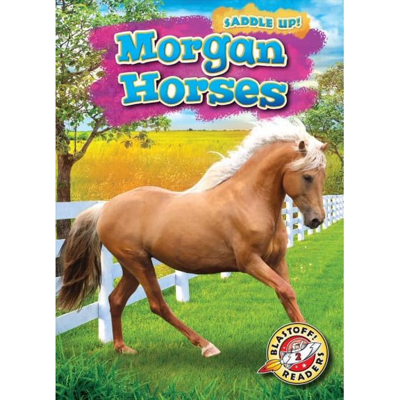 Saddle Up!: Morgan Horses (Hardcover)