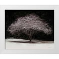 thumbnail image 3 of Vitaly Geyman 14x12 White Modern Wood Framed Wall Art Titled - Japanese Maple, 3 of 5