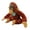 Orangutan, variant on EcoBuddiez - Sea Turtle from Deluxebase. Medium 12 inch Soft Plush Toy made from Recycled Plastic Bottles. Eco-Friendly Cuddly Gift for Kids and Cute Animal Soft Toy for Toddlers.