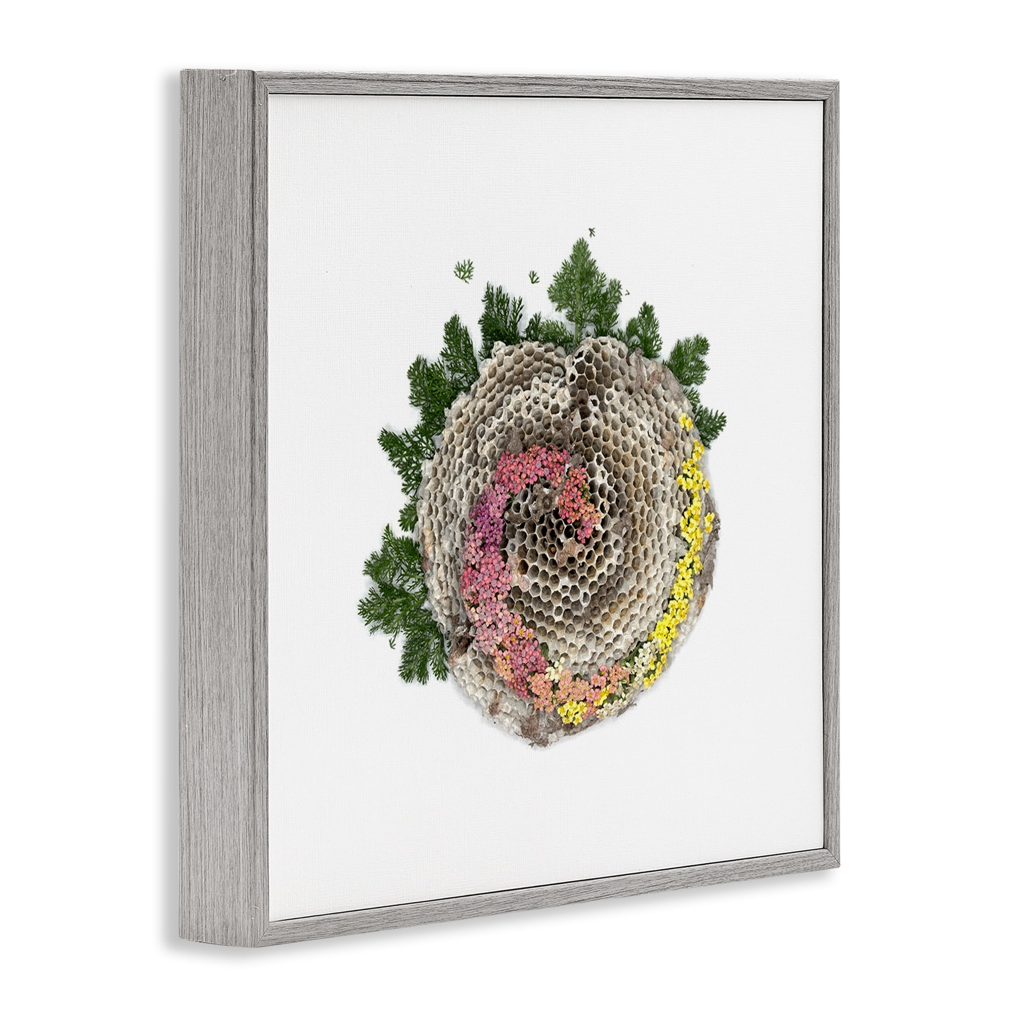 Stupell Industries Honeycomb with Botanicals Gray Framed Giclee Art, design by Beth Adoette
