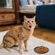 thumbnail image 3 of Plato de comida para gatos de cerámica para el hogar, plato de golosinas para perros, tazón de alimentación poco profundo para mascotas, 3 of 5