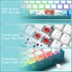 thumbnail image 3 of Teclado Womier WK61 mecánico RGB con cable al 60% con teclas, 3 of 8