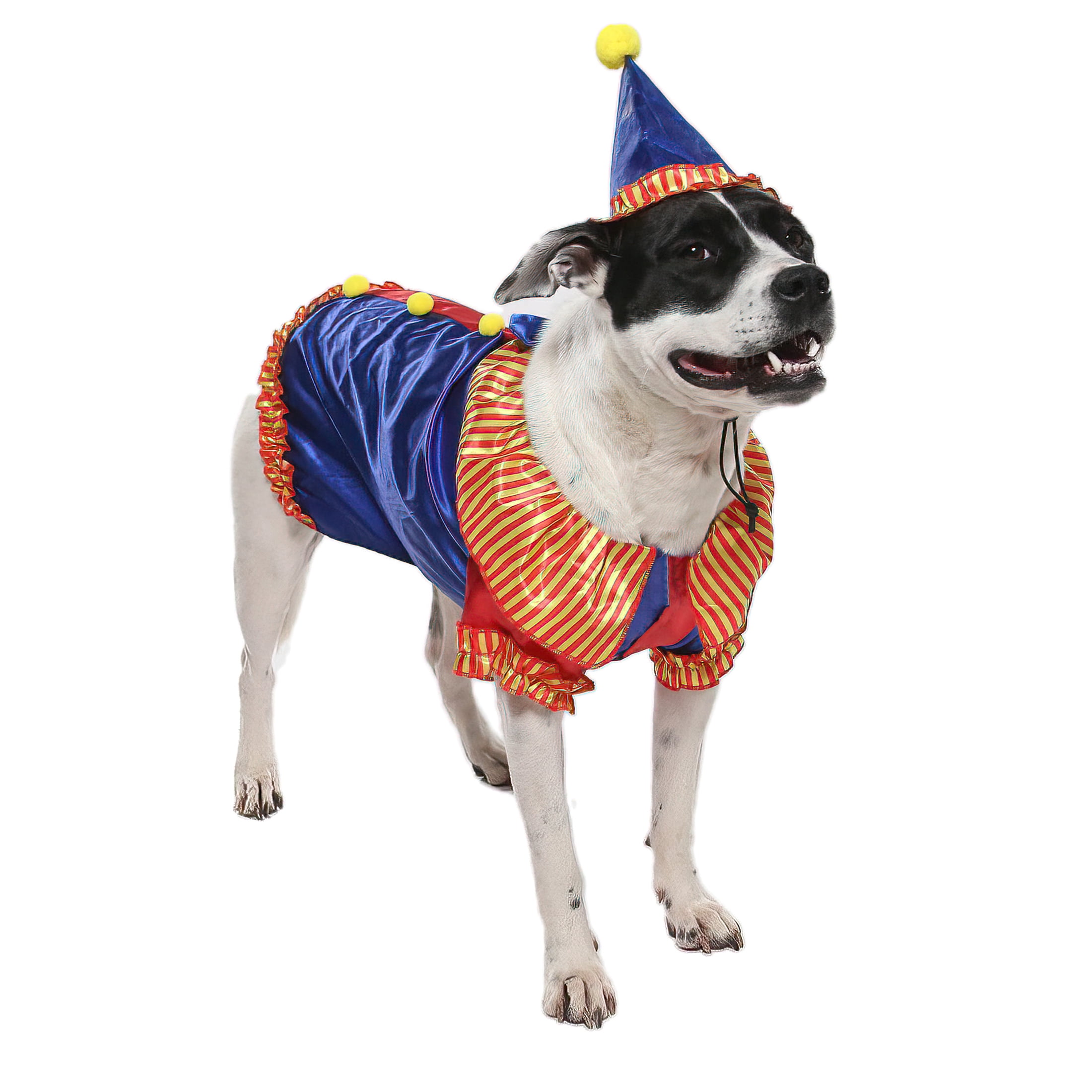 Vibrant Life Halloween Dog Costume and Cat Costume: Clown, Size Medium