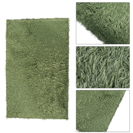 LEORX Reptile Carpet Liner Waterproof Heat Preservation Realistic Shape Lizard Accessories 2Pcs 15.7X9.8In