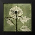 thumbnail image 2 of Koetsier, Albert 15x15 Black Modern Framed Museum Art Print Titled - Chrysanthemum, 2 of 5