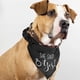 thumbnail image 5 of Bandana para perros de boda, paquete de 2, bufanda para perros, anuncio de compromiso para perros y gatos, 5 of 6