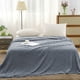 thumbnail image 4 of Lunxisen 2 Pcs Soft Fleece Throw Blanket Cozy Lightweight Blanket for Bed, Sofa Travel Warm Plush Decorative Throw for Home(59*39in), 4 of 9