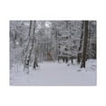 thumbnail image 2 of Forest Winter Tree Snow Nature Wilderness Photography Canvas Wall Art for Home Decor Ready-to-Hang, 2 of 18