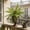 A, variant on HAJAGP 50x49cm Faux Greenery Plant Wall Panel, Artificial Plastic Leaf Mat Hanging for Indoor Outdoor Garden, Style A