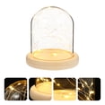 thumbnail image 3 of Miangastore Creative Night Light LED Bedside Lamp Glass Dome Table Lamp without Battery, 3 of 8