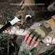 thumbnail image 3 of Guantes de medio dedo para deportes al aire libre, equitación, guantes tácticos de fitness, 3 of 5