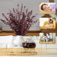 thumbnail image 4 of GoXteam 20pcs Red Dried Eucalyptus Stems, Natural Eucalyptus Branches for Shower Hanging, 17" Preserved Plants Steam Shower for Women and Men, Relaxation Set, Mother's Day, 4 of 7