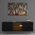 thumbnail image 3 of Epic Art 'The Hidden Truth' by Martin Podt, Acrylic Glass Wall Art, 36"x24", 3 of 5