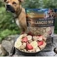 thumbnail image 2 of Bern's Farm Freeze-Dried (2.0oz) Raw Treats Featuring Duck, Strawberries & Bananas Provide Delicious, Nutrient-Dense Snack for Both Dogs and Cats., 2 of 9