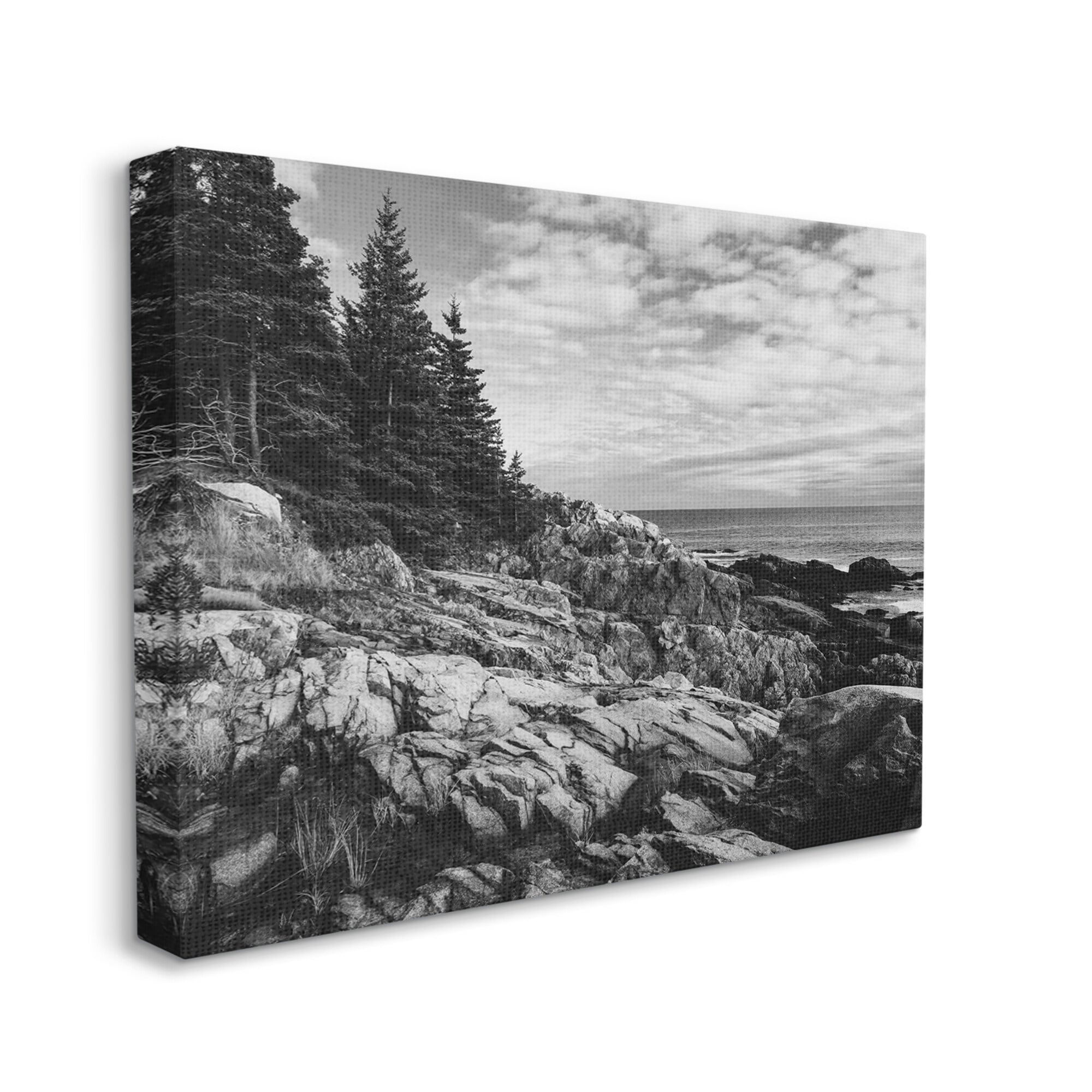 Stupell Industries Rocky Ocean Water Cloudy Coast Monochrome Nature Canvas Wall Art, 40 x 30, Design by Daniel Sproul