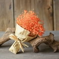 thumbnail image 1 of asddcavvf Natural Dried Flower Home Natural Dried Flower Full Gypsophila Coral Roses Flowers, 1 of 3