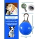 thumbnail image 2 of Luz de seguridad para mascotas con clip, luces LED que brillan en la oscuridad para su mascota, luces intermitentes de seguridad resistentes a la intemperie para perros, gatos, caminatas noc, 2 of 5