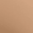 Classic Beige