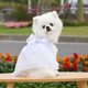 thumbnail image 3 of Traje de boda para mascota, lazo clásico, vestido de princesa romántico y camisa formal, pajarita, esmoquin para pareja de perros, 3 of 5