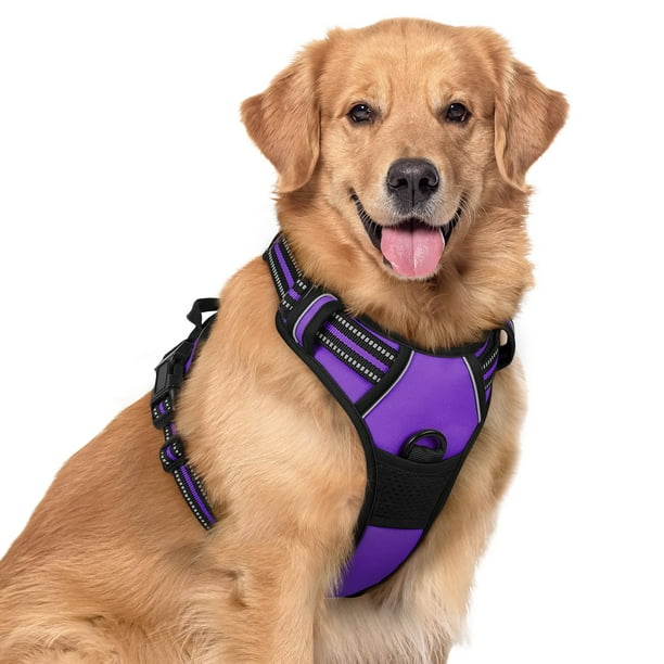 Arnés para perros Rabbitgoo, ajustable, sin tirones, color morado, XL