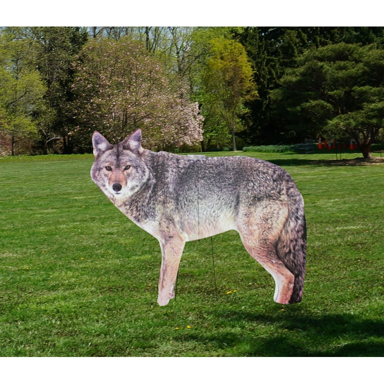 Coyote decoy deals