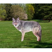 BIRD-X INC. Coyote Decoy, 20 in H, Pet Deterrent, 24 in L x 1 in W, with Mounting Stakes, 4 lb