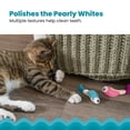 thumbnail image 4 of Catstages Catstages Dental Shrimpies Cat Toys, 2-pack – Interactive Catnip Dental Chew Toy to Help Clean Teeth, Fun for Play and Chewing, Multicolored, 4 of 4