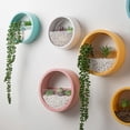 thumbnail image 1 of Pot de Succulentes Durable Décoratif Étanche Styles Hydroponiques pour Balcon, 1 of 7
