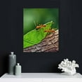 thumbnail image 4 of Nawypu Ants Carry Leaves Back Build Nests Canvas Poster Bedroom Decor Sports Landscape Office Room Decor Gift,Canvas Poster Wall Art Decor Print Picture Paintings for Living Room Bedroom Decoration, 4 of 4