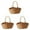 3PC, variant on Junepar Rattan Storage Basket with Handle Large Woven Wicker Basket for Picnic,Harvesting Vegetables,Fruit Flower Arranging Multipurpose Organizer for Garden, Home,Easter Camping