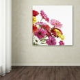 thumbnail image 3 of Trademark Fine Art 'Gerberas II' Canvas Art by The Macneil Studio, 3 of 3