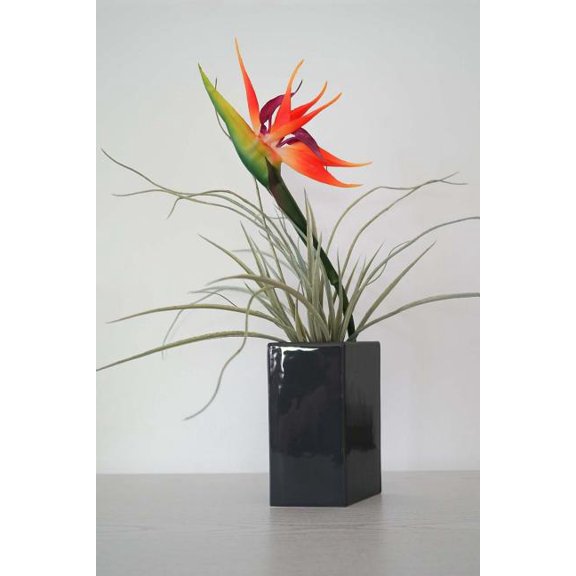 Flowers Notebook (Paperback)