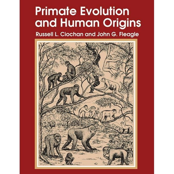 Foundations of Human Behavior Primate Evolution and Human Origins, (Paperback)