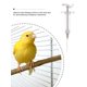 thumbnail image 5 of 1pc Syringe Design Bird Feeder For Parrot For Food Feeding, 5 of 5