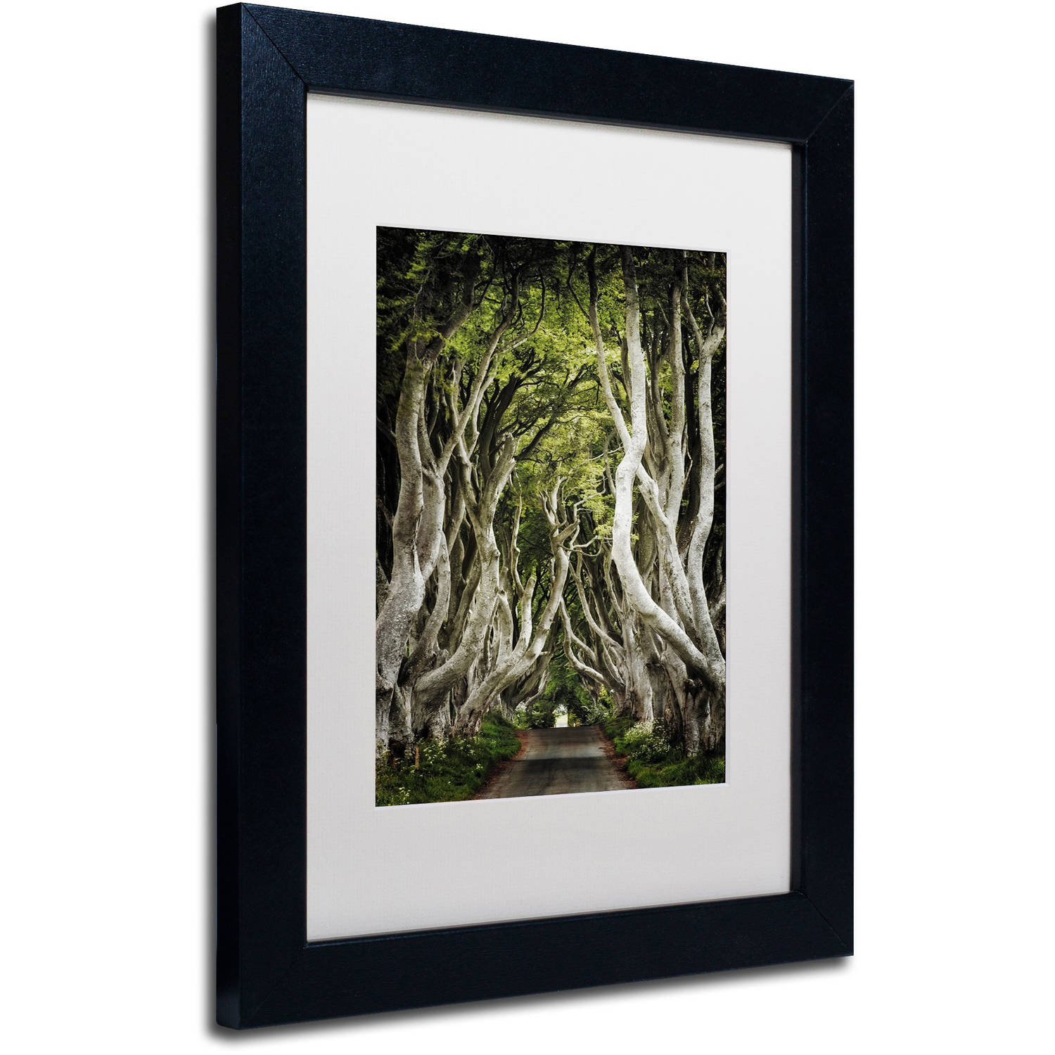 Trademark Fine Art "Romantic Avenue" Canvas Art by Philippe Sainte-Laudy, White Matte, Black Frame